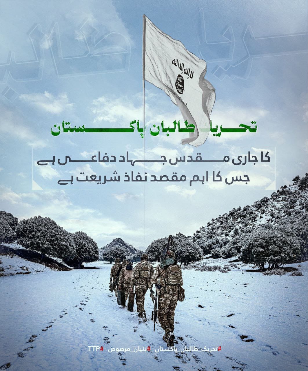 ٹی ٹی پی کا مشن